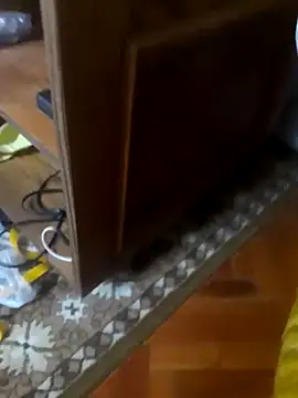 babyboy74 online show from 10/10/25, 06:23