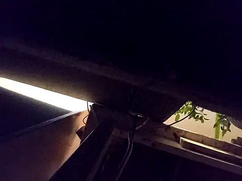 Daminou28 online show from 10/19/25, 11:16