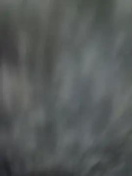 NaiveAlly5 online show from 09/25/25, 07:34