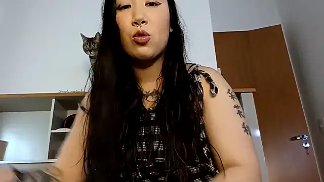 Japabaixinha online show from 11/22/25, 08:41