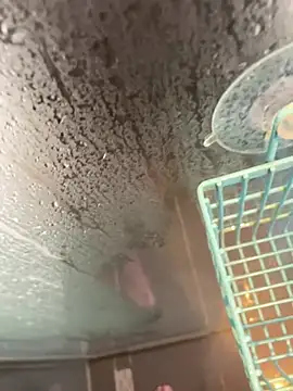 Snapshot of LivingLegend1978 chatting on 04/06/26, 08:26 LivingLegend1978 online show from 04/06/26, 08:26