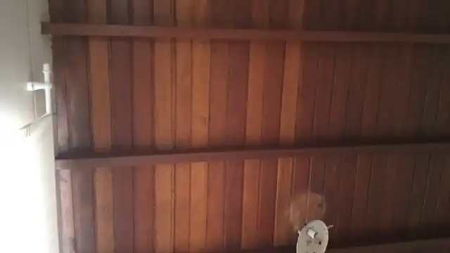 Snapshot of bombomepimenta chatting on 10/12/25, 12:15 bombomepimenta online show from 10/12/25, 12:15