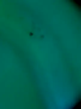 sm4lld1ck online show from 10/31/25, 11:39