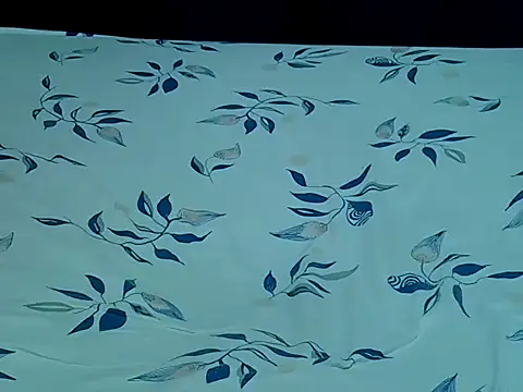 Snapshot of HoneyBun143 chatting on 04/11/26, 08:02 HoneyBun143 online show from 04/11/26, 08:02