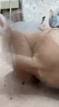 Snapshot of quierodarleche69 chatting on 01/20/25, 03:26 quierodarleche69 online show from 01/20/25, 03:26