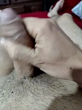 Snapshot of quierodarleche69 chatting on 10/31/25, 02:01 quierodarleche69 online show from 10/31/25, 02:01