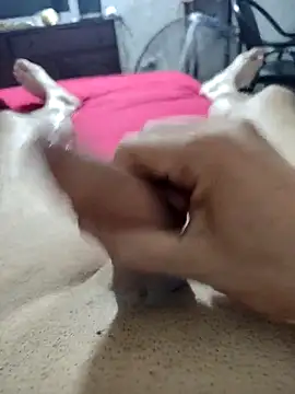 Snapshot of quierodarleche69 chatting on 02/16/26, 03:02 quierodarleche69 online show from 02/16/26, 03:02