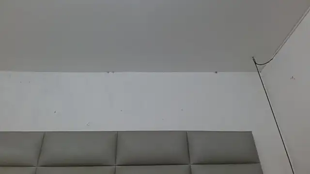 Snapshot of emily_brontee_ chatting on 11/04/25, 01:21 emily brontee online show from 11/04/25, 01:21