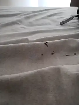 Snapshot of BarbudoSP35 chatting on 03/15/25, 01:18 BarbudoSP35 online show from 03/15/25, 01:18