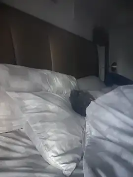 Snapshot of CeceilaMoon chatting on 04/21/26, 01:06 CeceilaMoon online show from 04/21/26, 01:06