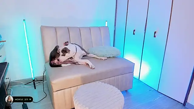 Michelle se online show from 04/15/26, 09:59