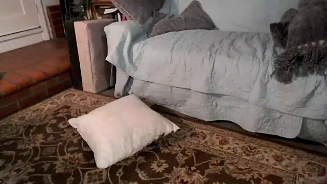 Snapshot of Dark_Asteroid chatting on 02/20/26, 12:38 Dark Asteroid online show from 02/20/26, 12:38