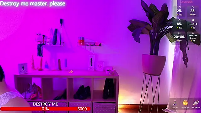 catha cat online show from 11/24/25, 05:45