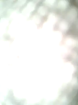 molozeb online show from 10/12/25, 11:42