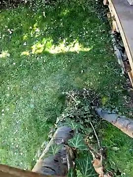 Snapshot of Lorent6969 chatting on 03/07/25, 01:18 Lorent6969 online show from 03/07/25, 01:18