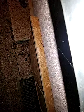 Snapshot of Lorent6969 chatting on 09/19/25, 03:52 Lorent6969 online show from 09/19/25, 03:52