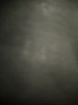 Snapshot of FantasticWonders9 chatting on 04/01/26, 11:24 FantasticWonders9 online show from 04/01/26, 11:24