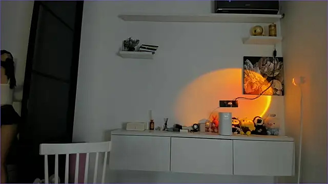 Snapshot of kokyokka_v chatting on 11/29/25, 02:25 kokyokka v online show from 11/29/25, 02:25