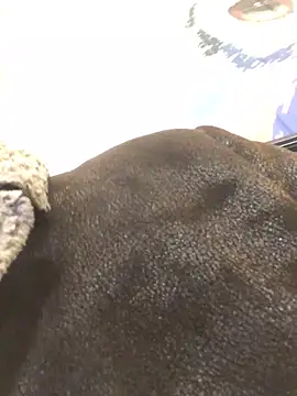 ChantalXOrchid online show from 01/23/25, 06:56