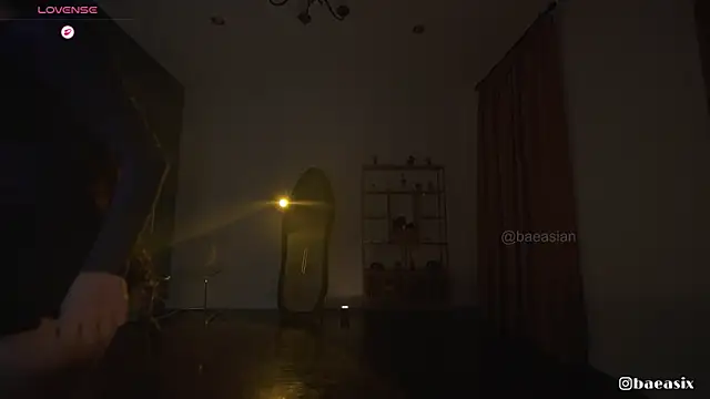 Snapshot of baeasian chatting on 02/06/26, 11:19 baeasian online show from 02/06/26, 11:19