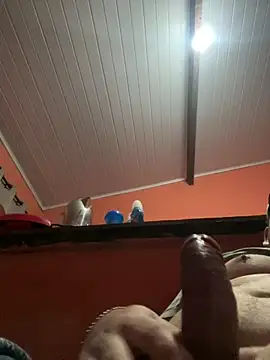 Snapshot of brunogordin69 chatting on 09/25/25, 07:01 brunogordin69 online show from 09/25/25, 07:01