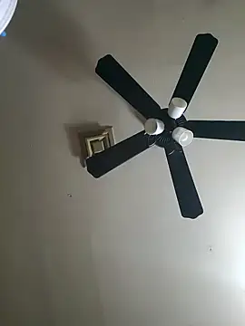 Snapshot of Hugebwc102 chatting on 11/23/25, 08:03 Hugebwc102 online show from 11/23/25, 08:03