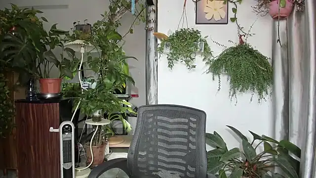 Snapshot of Oliver_Nl chatting on 04/16/26, 04:46 Oliver Nl online show from 04/16/26, 04:46