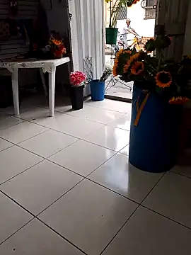 Snapshot of VivienAndClark chatting on 10/18/25, 07:25 VivienAndClark online show from 10/18/25, 07:25