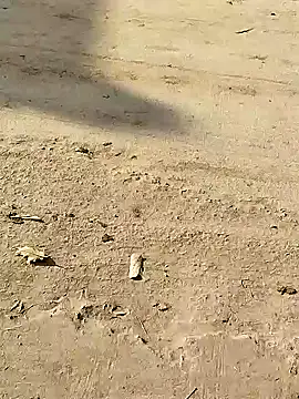 Snapshot of Monster_Bigdick chatting on 12/08/24, 03:32 Monster Bigdick online show from 12/08/24, 03:32