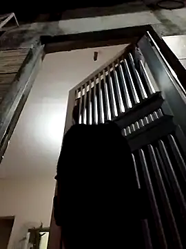 fieltoprj1 online show from 12/13/24, 11:39