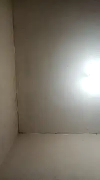 fieltoprj1 online show from 01/05/25, 08:11