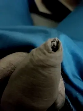 Ashish02345 online show from 01/28/25, 08:58