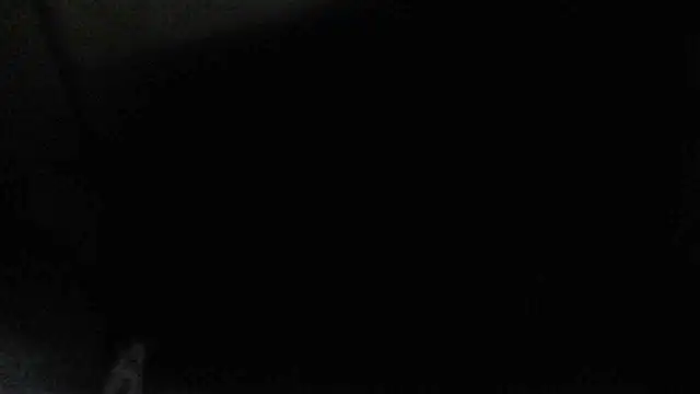 perversalus online show from 12/17/24, 04:34