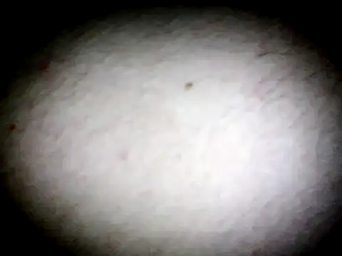 Snapshot of anald66666 chatting on 01/13/25, 07:43 anald66666 online show from 01/13/25, 07:43