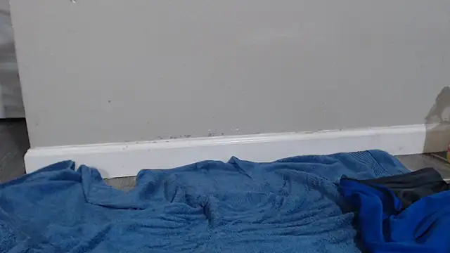 Dogz n daugthers online show from 12/17/24, 06:24