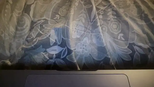 Dogz n daugthers online show from 03/21/26, 12:37