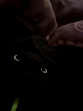 balamuc97 online show from 12/04/25, 11:52