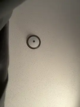 Snapshot of ebonyred chatting on 12/21/25, 02:24 ebonyred online show from 12/21/25, 02:24