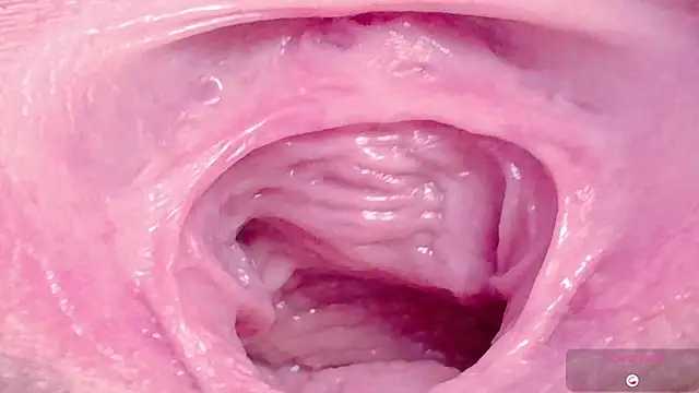 Snapshot of Alu_ryu chatting on 03/06/26, 10:50 Alu ryu online show from 03/06/26, 10:50