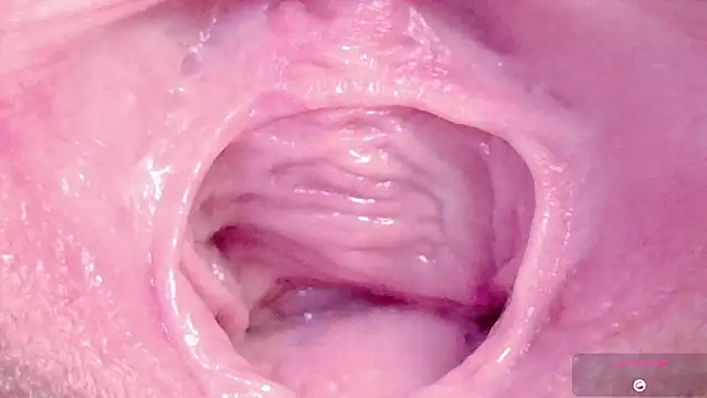 Snapshot of Alu_ryu chatting on 03/11/26, 11:11 Alu ryu online show from 03/11/26, 11:11