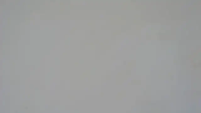 GiseleReine online show from 02/05/25, 01:33