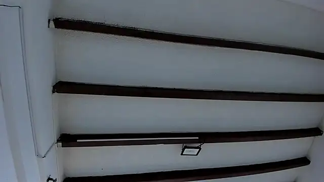 Snapshot of Oriana_Guzman chatting on 01/30/25, 12:06 Oriana Guzman online show from 01/30/25, 12:06