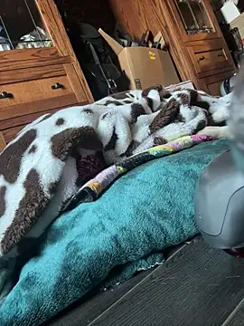 Snapshot of SexyB214 chatting on 03/07/25, 12:15 SexyB214 online show from 03/07/25, 12:15