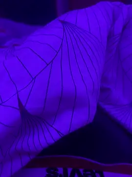 Maxxxooouuu online show from 03/01/26, 08:11