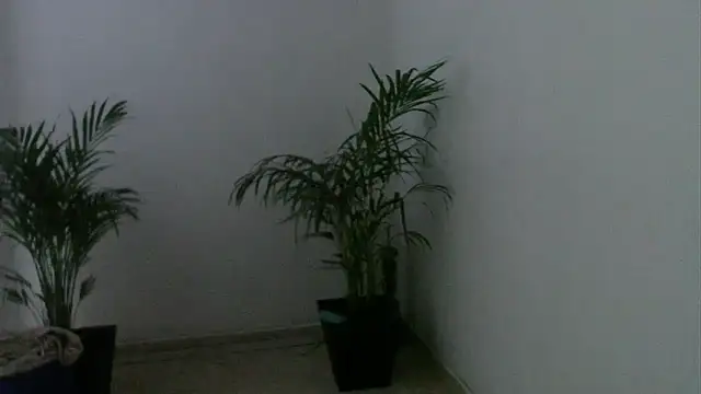 Snapshot of skylarhot420 chatting on 03/05/25, 12:00 skylarhot420 online show from 03/05/25, 12:00