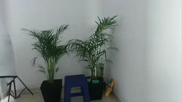 Snapshot of skylarhot420 chatting on 03/05/25, 03:07 skylarhot420 online show from 03/05/25, 03:07