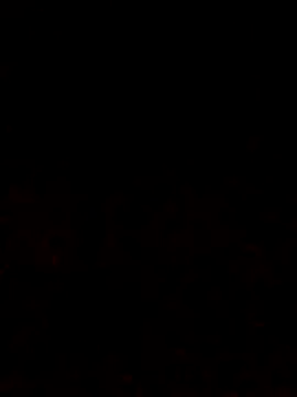 Snapshot of Adee21e chatting on 10/12/25, 06:51 Adee21e online show from 10/12/25, 06:51