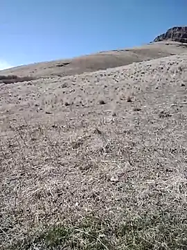 Snapshot of rockpimp chatting on 03/09/26, 06:56 rockpimp online show from 03/09/26, 06:56