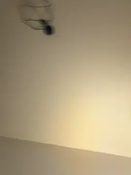 Guitccch online show from 01/17/26, 06:33