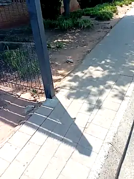 KinkyYours online show from 10/04/25, 10:24